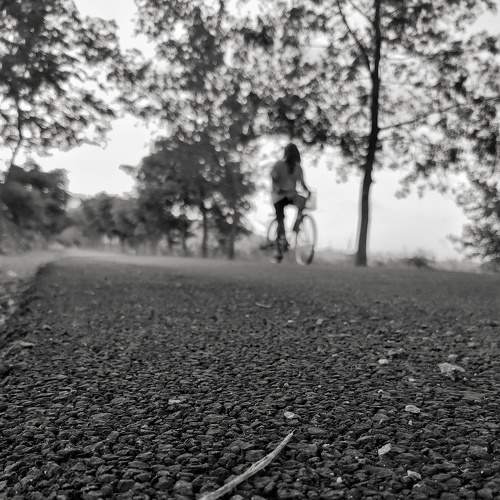 Photo #6258034