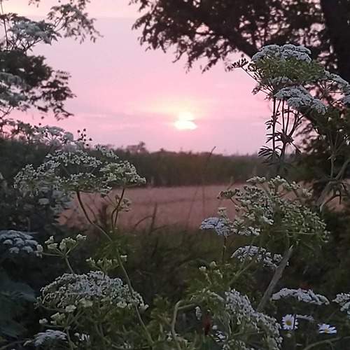 Photo #6258097