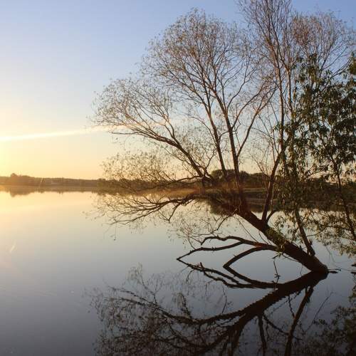 Photo #6258116