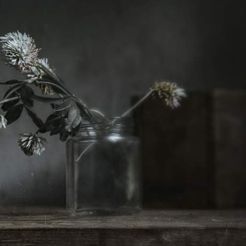 Photo #6258827