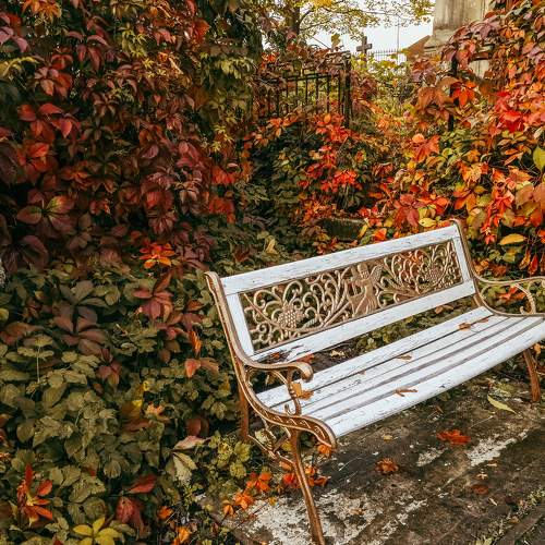 Cemetery fall