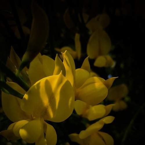 Photo #6259022