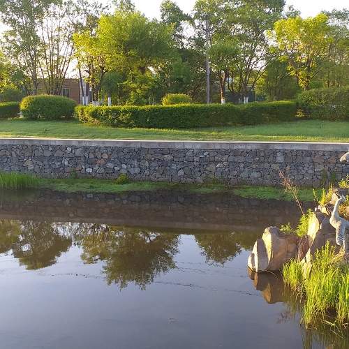 Photo #6259196