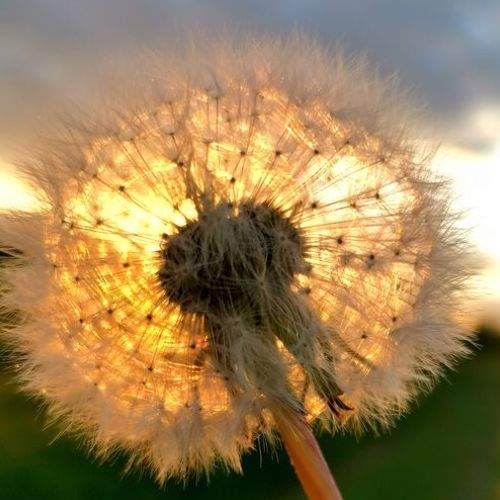Photo #6259311