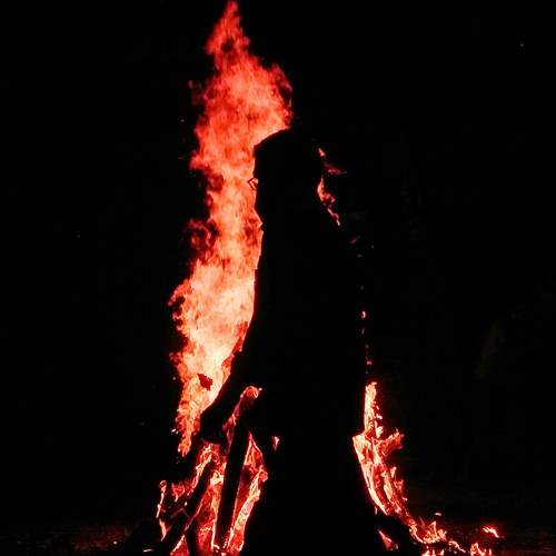 Photo #6259472