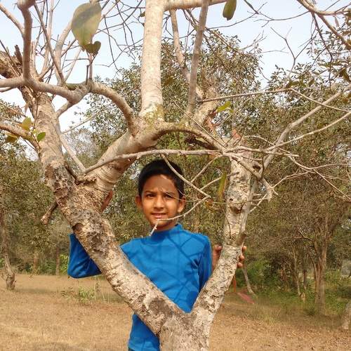 Photo #6259689