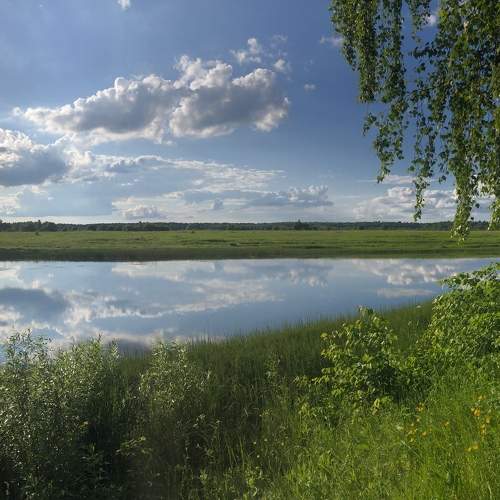Photo #6259973