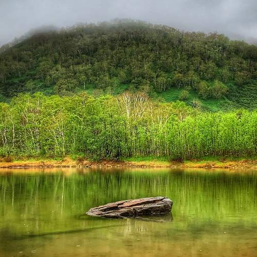 Photo #6260301