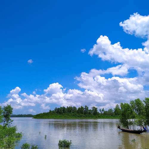 Photo #6260476