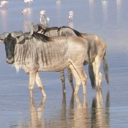 Photo #6260656