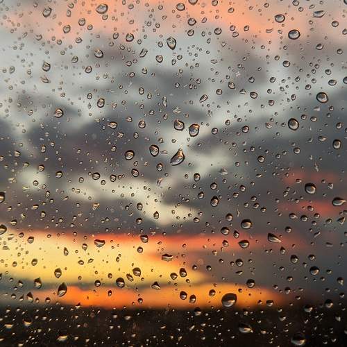 Photo #6260744