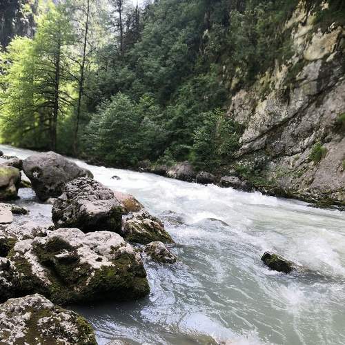 Photo #6260761