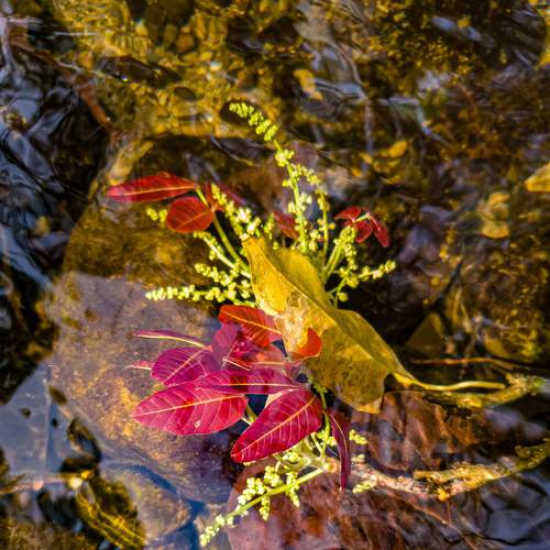 Photo #6260774