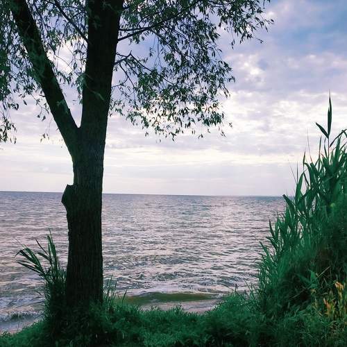 Photo #6260976