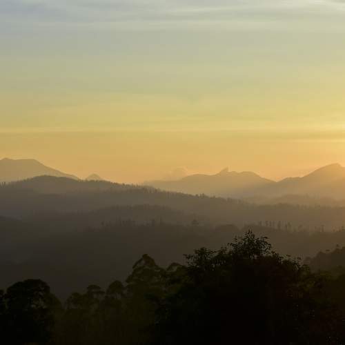 Photo #6261564