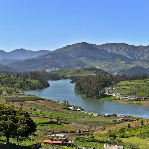 Photo #6261587