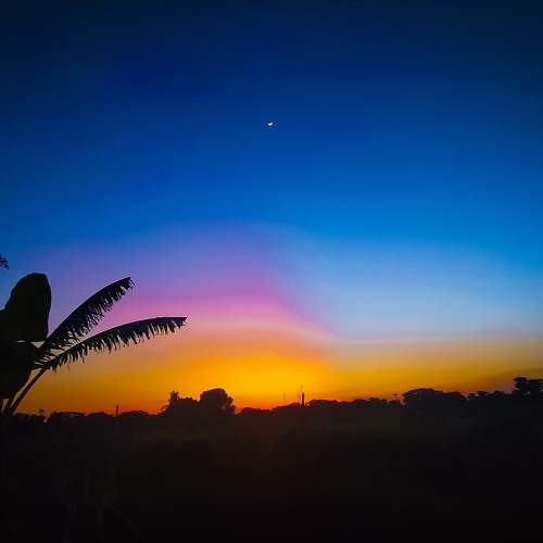 Beautiful Nature