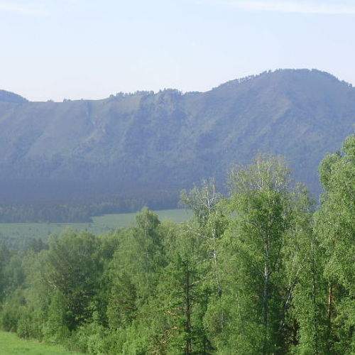 Photo #6262233
