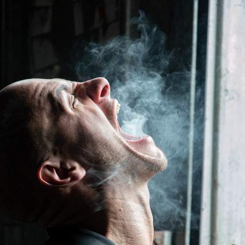 Photo #6262920