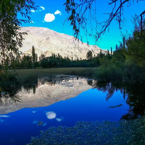 Photo #6263819