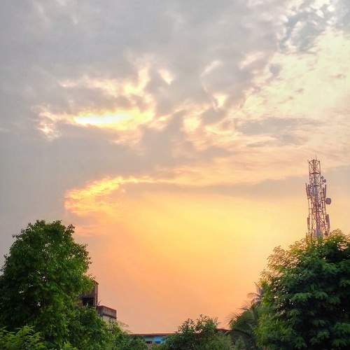 Photo #6264175