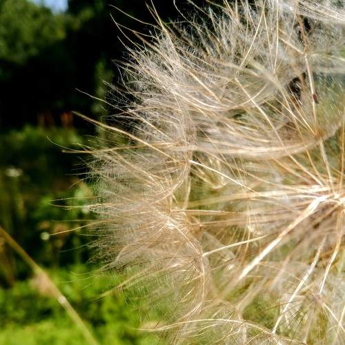 Photo #6264513