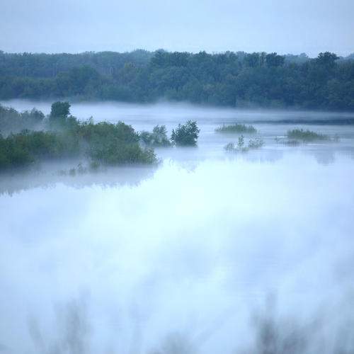 Photo #6264729