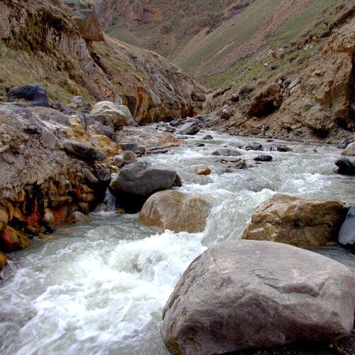 Photo #6264736