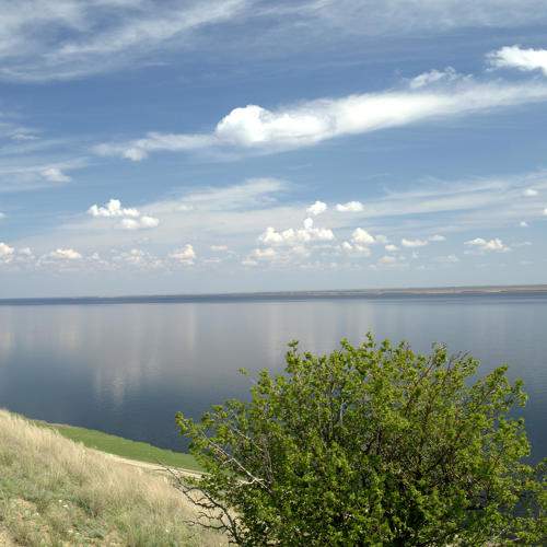 Photo #6264742