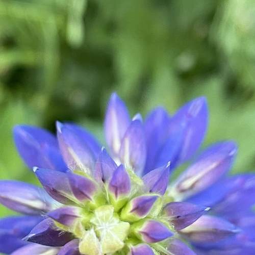 Photo #6264833