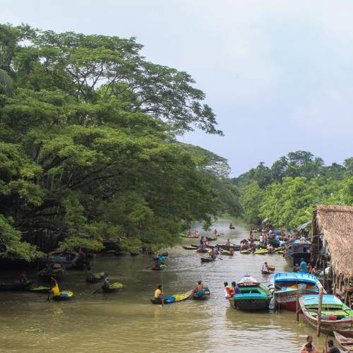 Photo #6265272