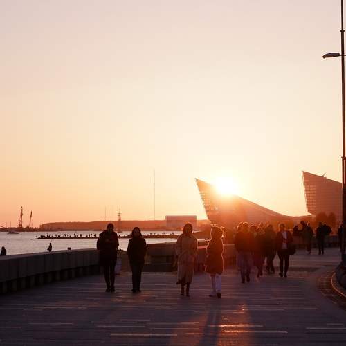Photo #6265331