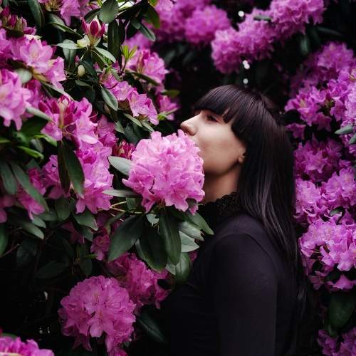 Photo #6265352