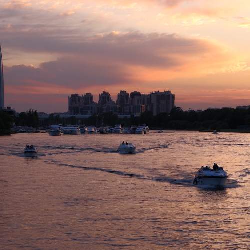 Photo #6265358