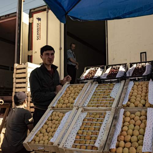 Photo #6265768
