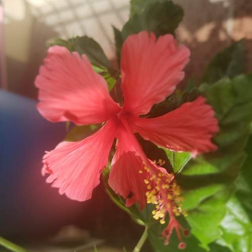 Photo #6266186