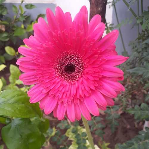 Photo #6266196