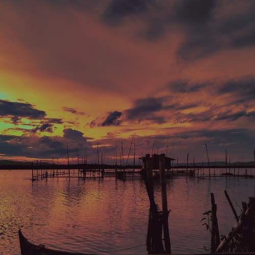 Photo #6266198