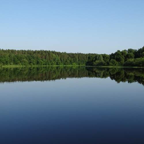 Photo #6266428