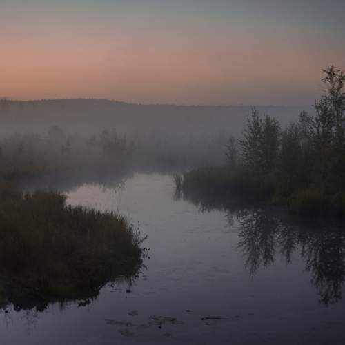 Photo #6266440