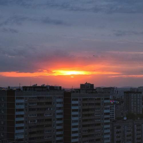 Photo #6266746