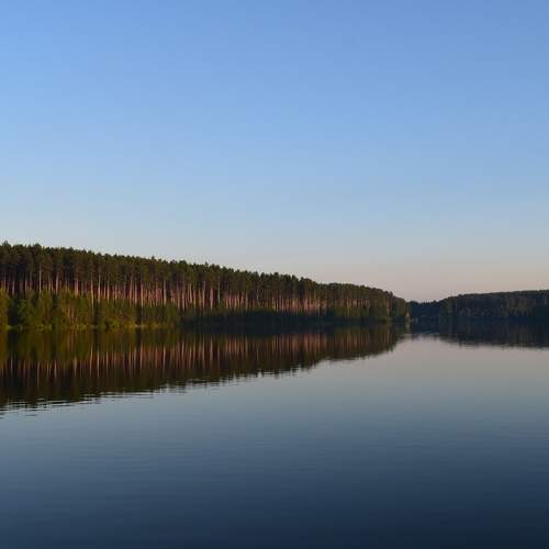 Photo #6266771