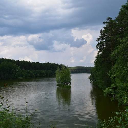 Photo #6266772