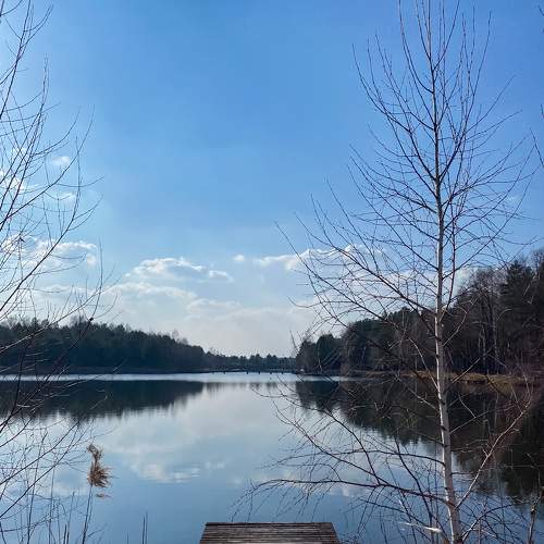 Photo #6267476