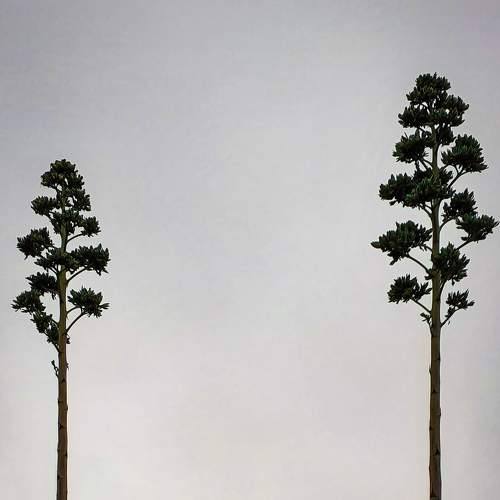 Landscape photography