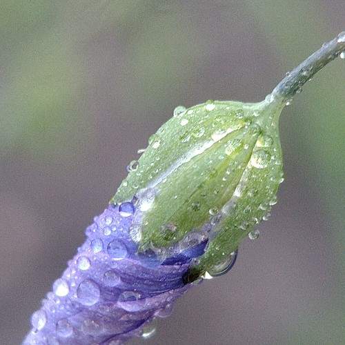 Photo #6268188