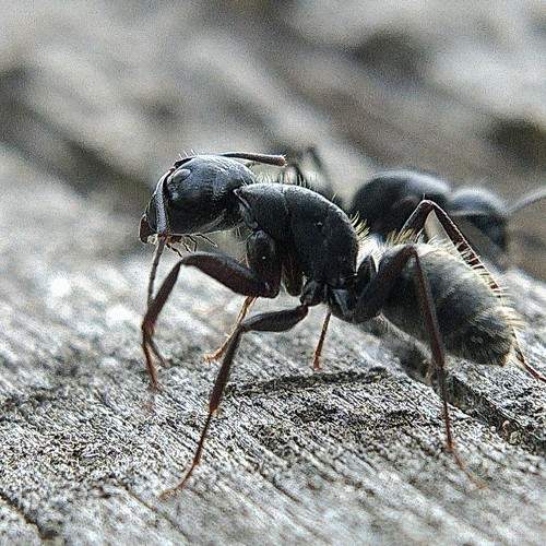 Photo #6268189