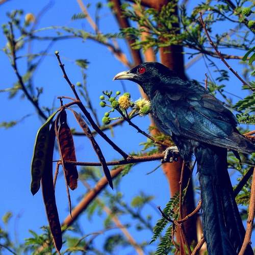 Photo #6268229