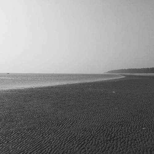 Photo #6268338