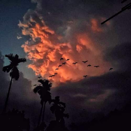 Photo #6268416
